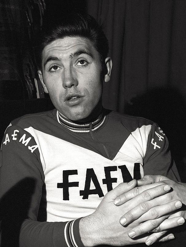 Eddy Merckx — Le Cannibale absolu